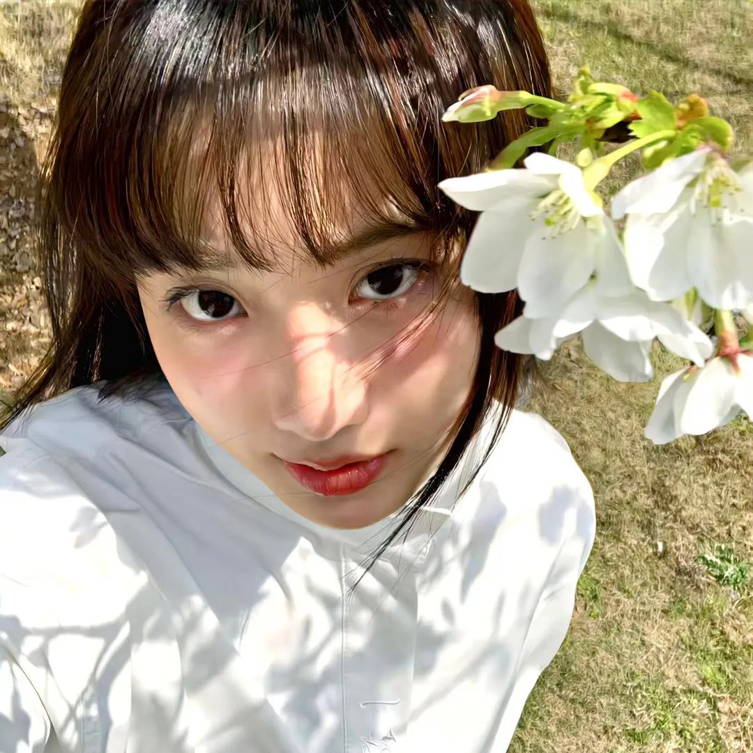 小白旗的风波 在线观看